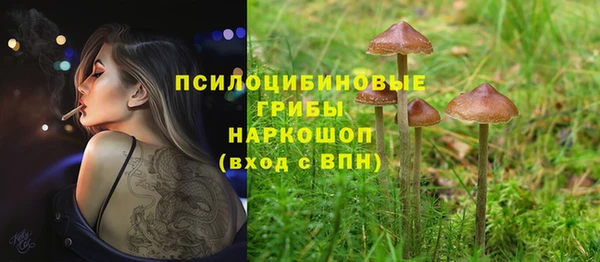 гидропоника Медвежьегорск