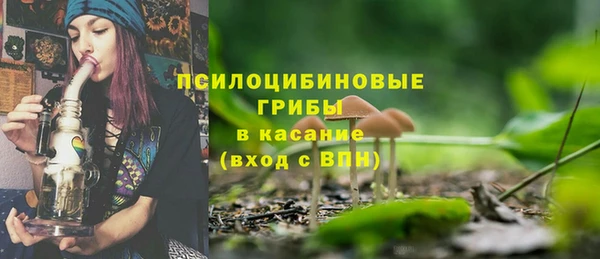 ПСИЛОЦИБИНОВЫЕ ГРИБЫ Вязьма