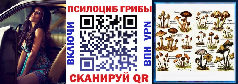 Галлюциногенные грибы мухоморы  купить   Камызяк 